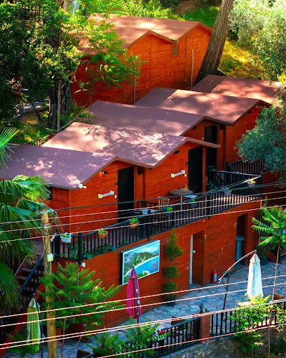 Altaris Bungalows olimpos Antalya vip transfer