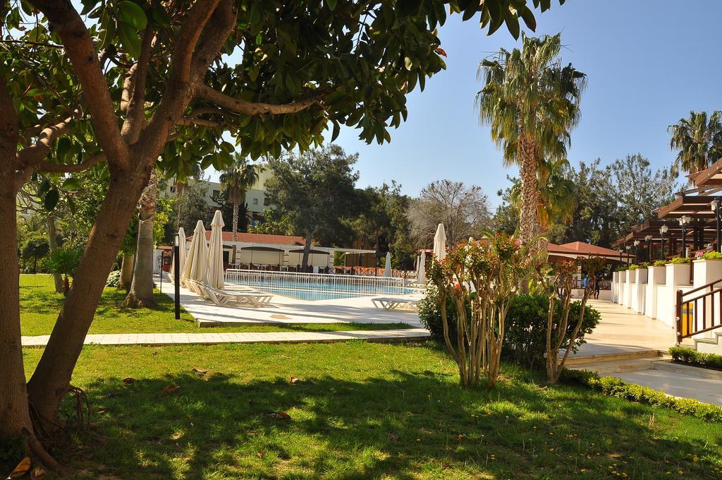 Ally Hotel VIP Transfer